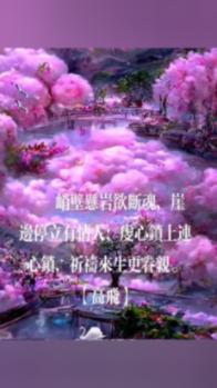 细胞分裂6